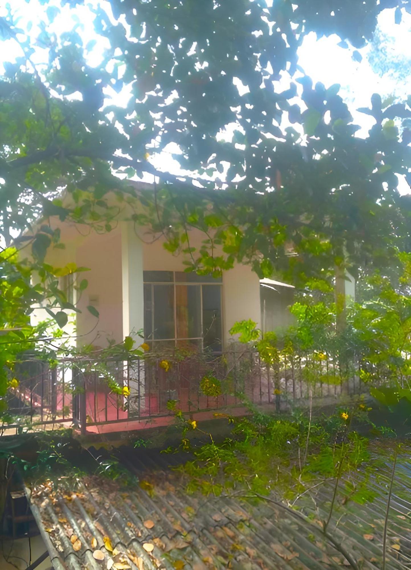 Senehas Homestay Ела Екстериор снимка