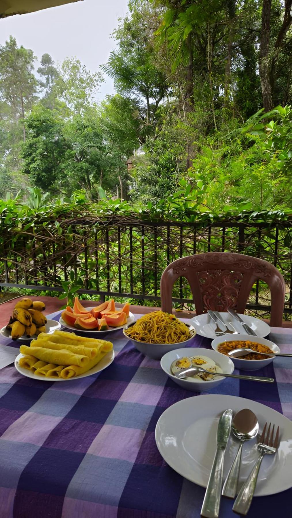 Senehas Homestay Ела Екстериор снимка